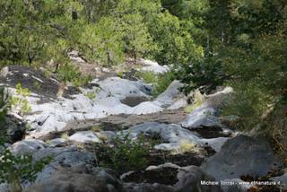 rrente Quarantore-05-08-2015 17-29-52